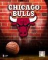 Chicago Bulls